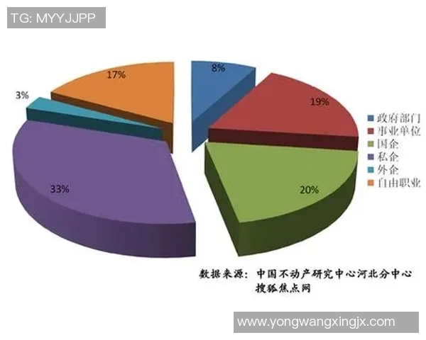 大连与石家庄比赛全场数据分析及精彩瞬间回顾