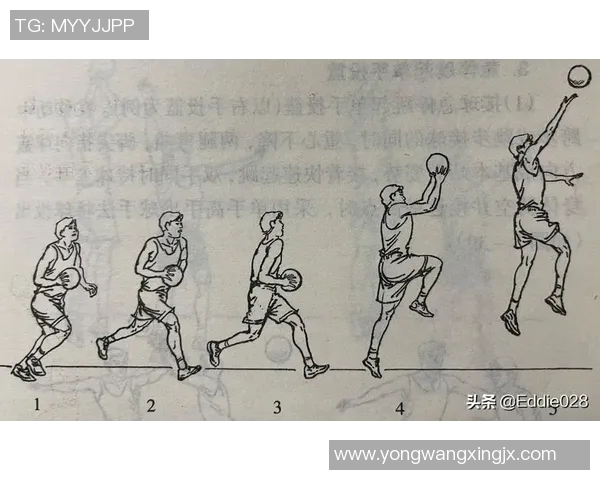 提升投篮技巧的篮球明星训练视频分享与解析